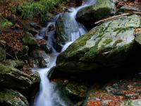 Rißbachkaskaden in der Schlucht